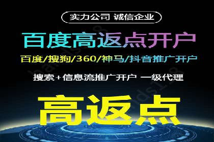 SEM运营公司案例解析：精准广告投放技巧
